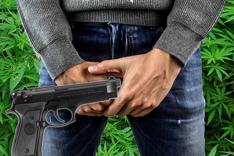 Cameron Wilson: drogas en el ano, pistola en el bolsillo, neuronas de adorno