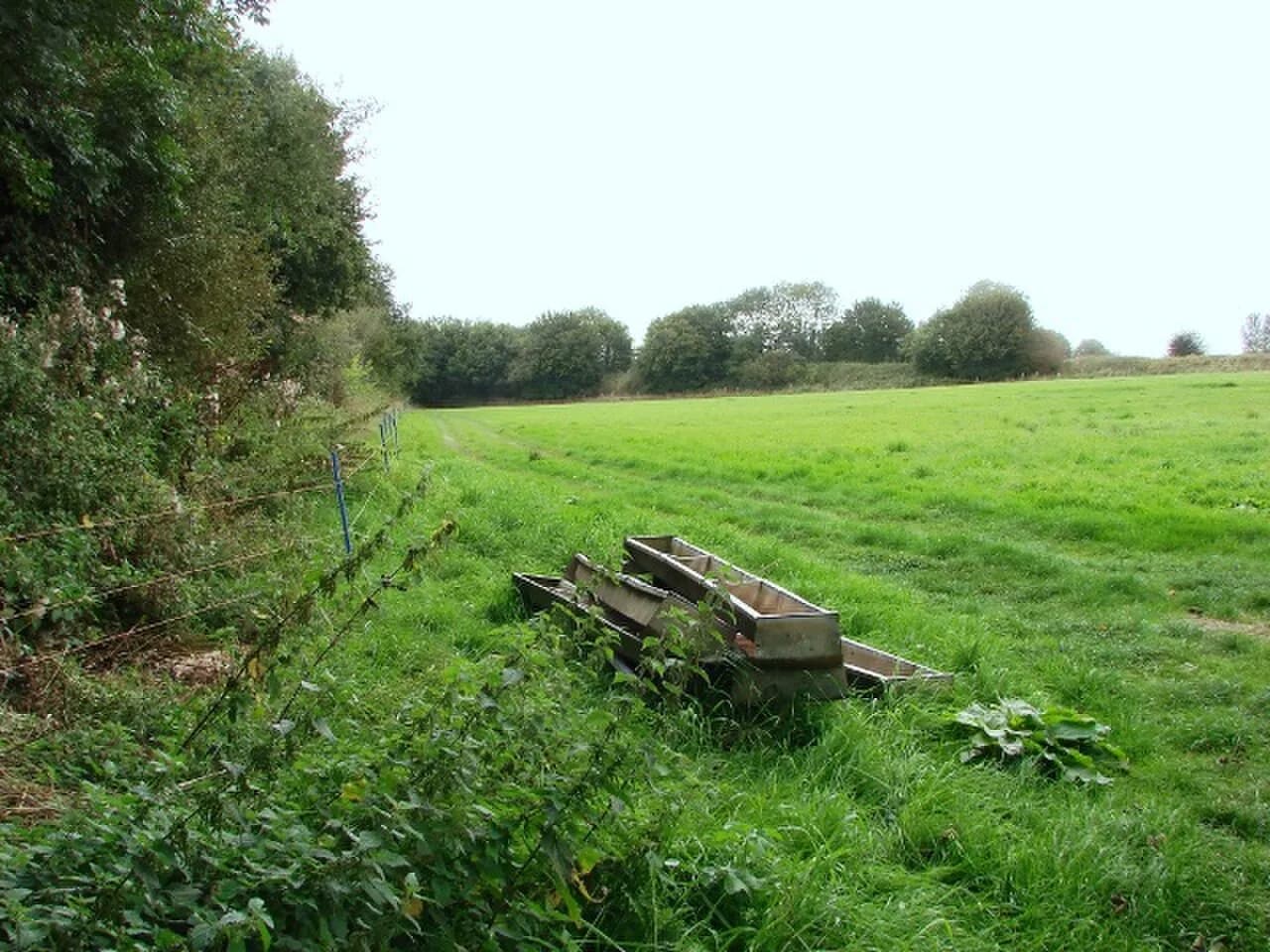 El silencio de los corderos