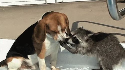 Una peligrosa decisión