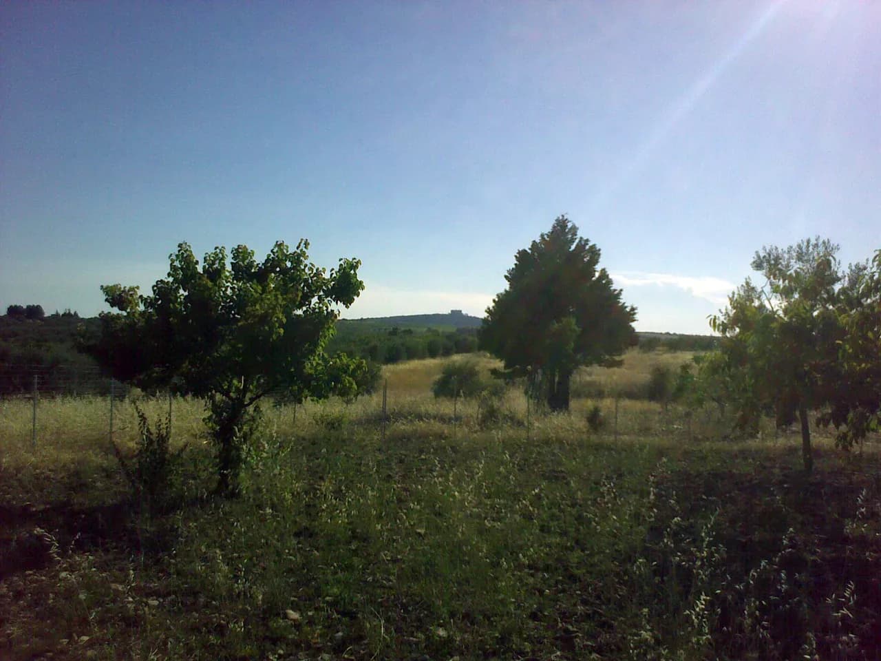 Paisaje rural del municipio de Andria, con Castel del Monte al fondo: fotografía de contexto