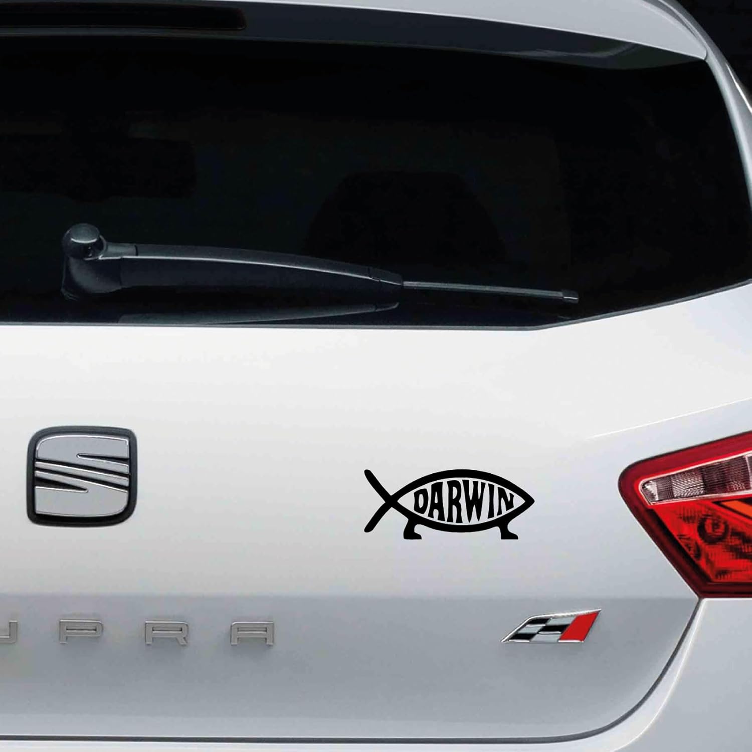 Pegatina Vinilo Darwin Roja — 13x5cm, Resistente al Exterior